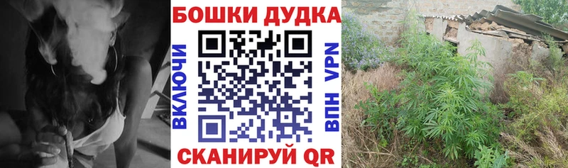 наркошоп  Отрадное  Бошки Шишки OG Kush 